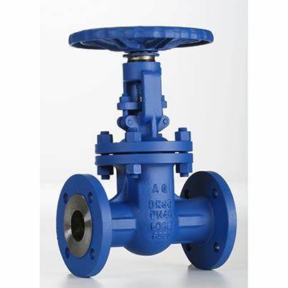 供應(yīng)意大利Valvosider閥門、過濾器